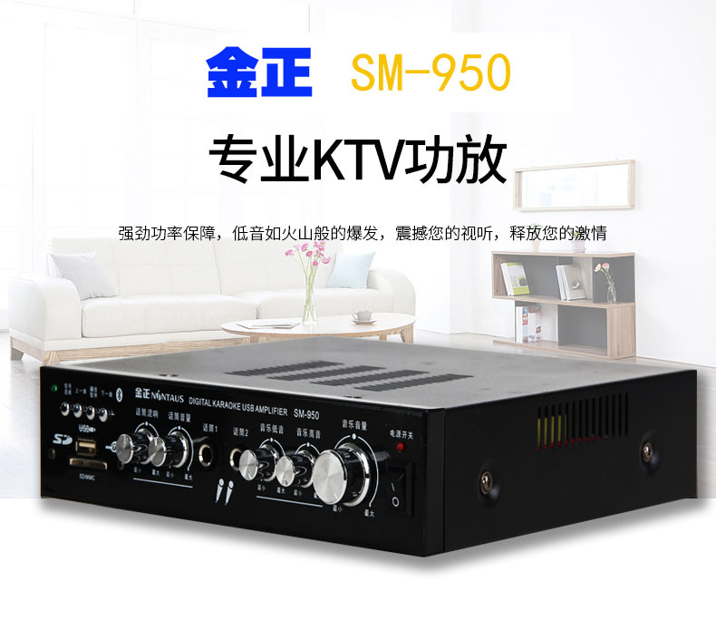 Jinzheng household KTV amplifier Bluetooth U disk card playback high-power fever 2 0 constant resistance power amplifier