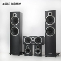 Британский Lei Rich Family Cinema Audio Set Гостиная гостиная, окружающая окружающая