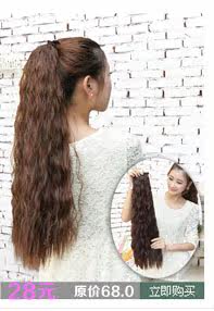 Extension cheveux - Chignon - Ref 247909 Image 13