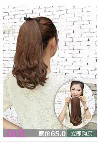 Extension cheveux - Chignon - Ref 247909 Image 11