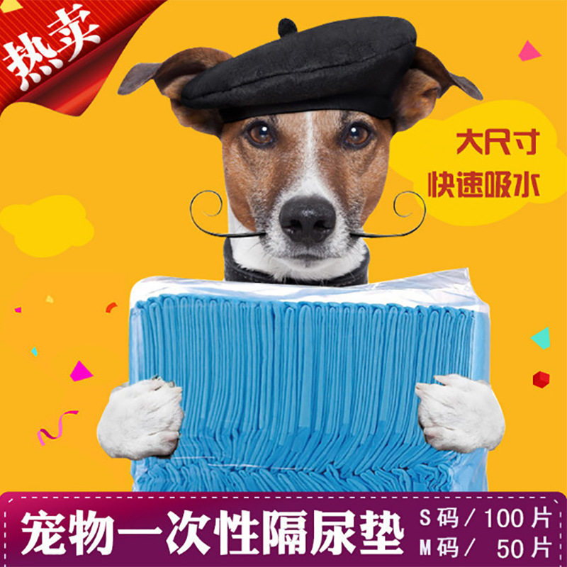 Dog urine pad pet supplies diaper cat diaper Teddy diaper absorbent pad thickened deodorant 100 pieces