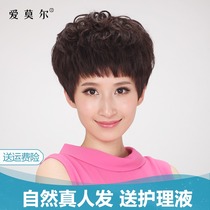 Amore wig Female short hair Middle-aged mother wig Real hair wig Fluffy lady short curly hair