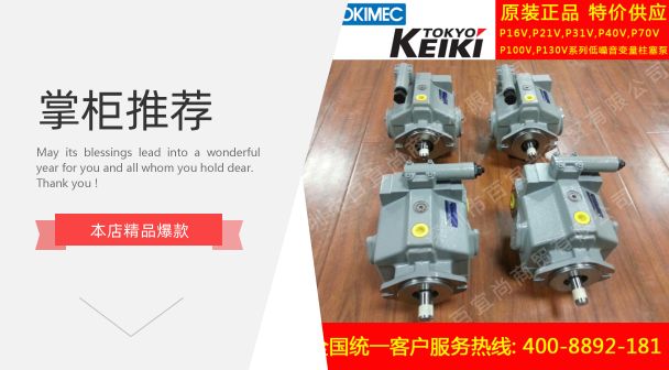 Tokyo gauge variable pump p16v-rsg-30-cc-21-k Japan TOKIMEC plunger hydraulic head electric