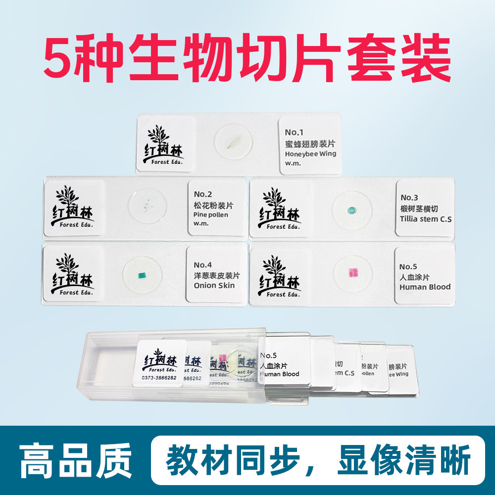 5片综合类显微玻片套装取材新鲜高清玻璃制中小学教学观察玻片