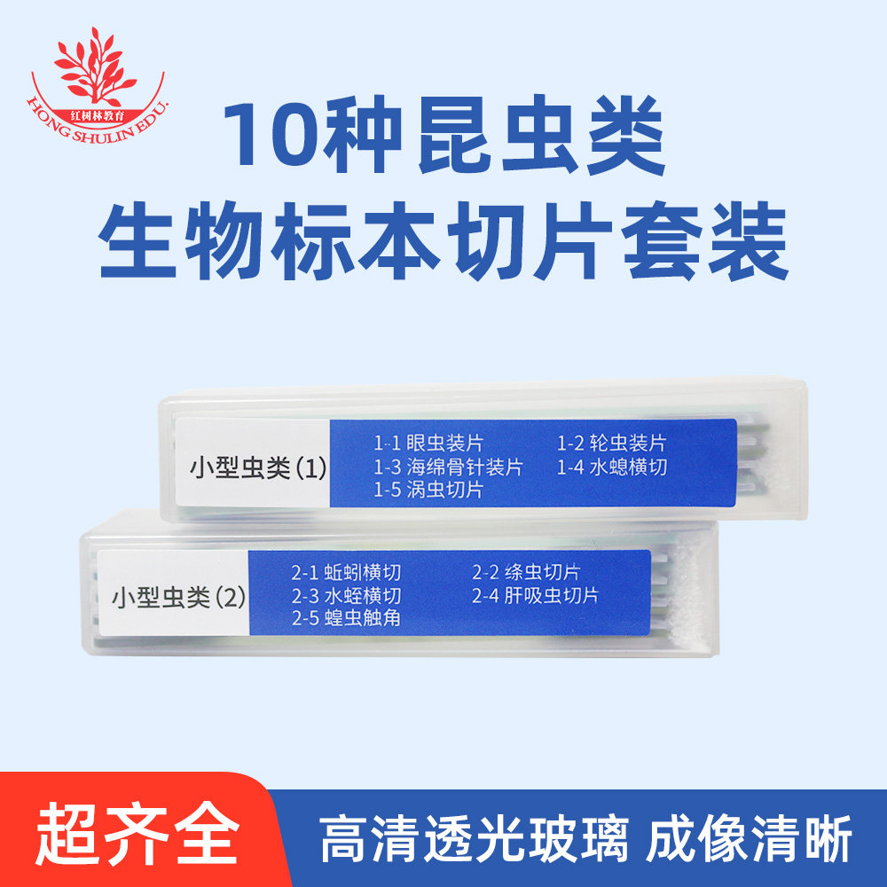 昆虫类生物显微镜标本切片一盒10片科学实验益智玩具认识微观世界