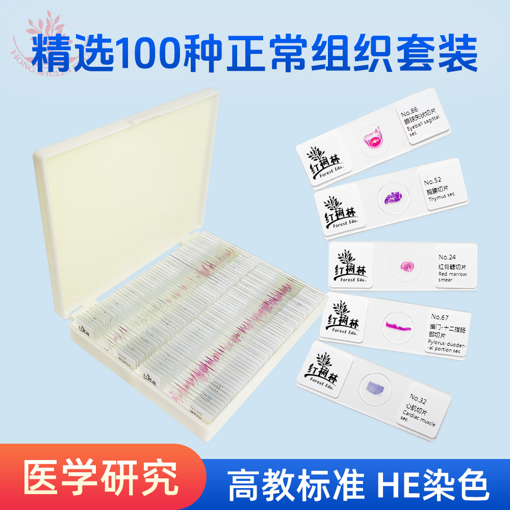 精选100种人体正常组织学切片FRT2001结构清晰高教标准生物标本片
