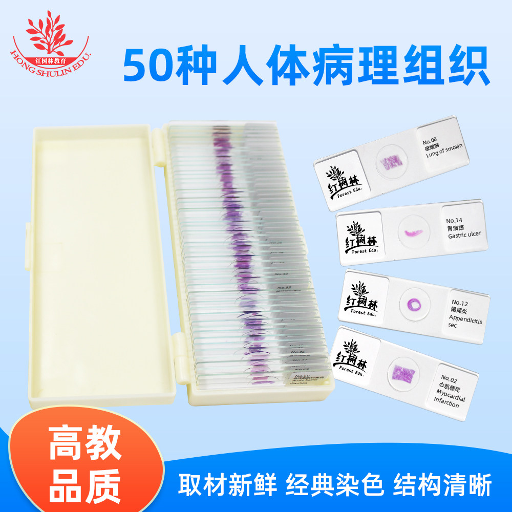 50种人体病理组织切片套装结构清晰高教品质医学院教学用病理玻片