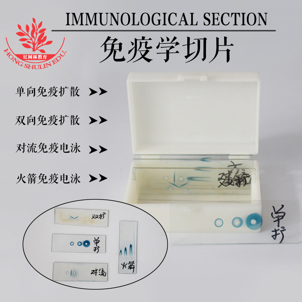 高教科研级专业火箭电泳对流电泳单扩双阔电泳免疫学专用教学玻片