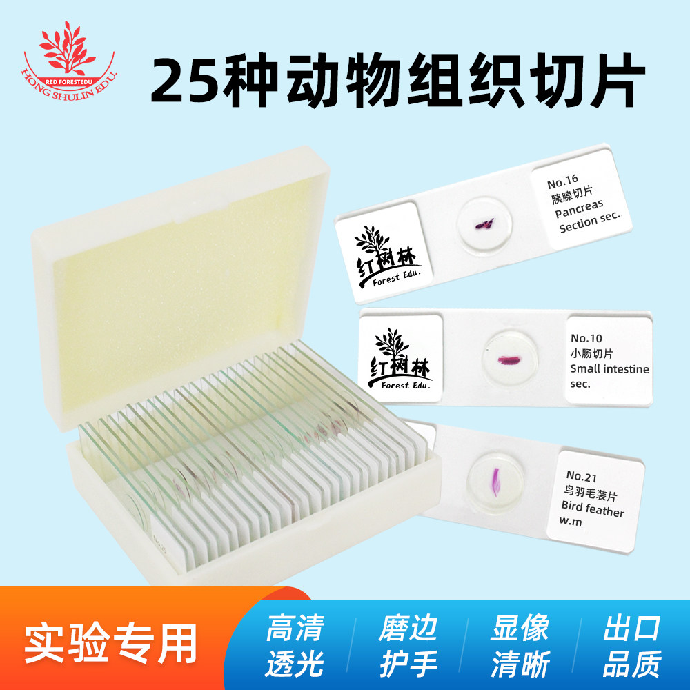 25种动物组织切片生物显微镜入门厂家直销动物学组织学生物玻片