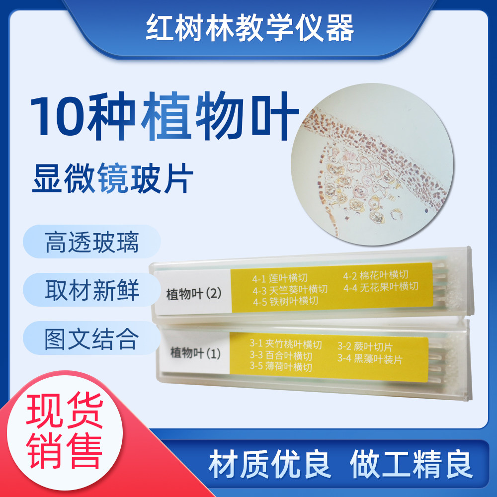 显微镜配件少儿益智科普玩具高透玻璃制10片小套装生物标本切片