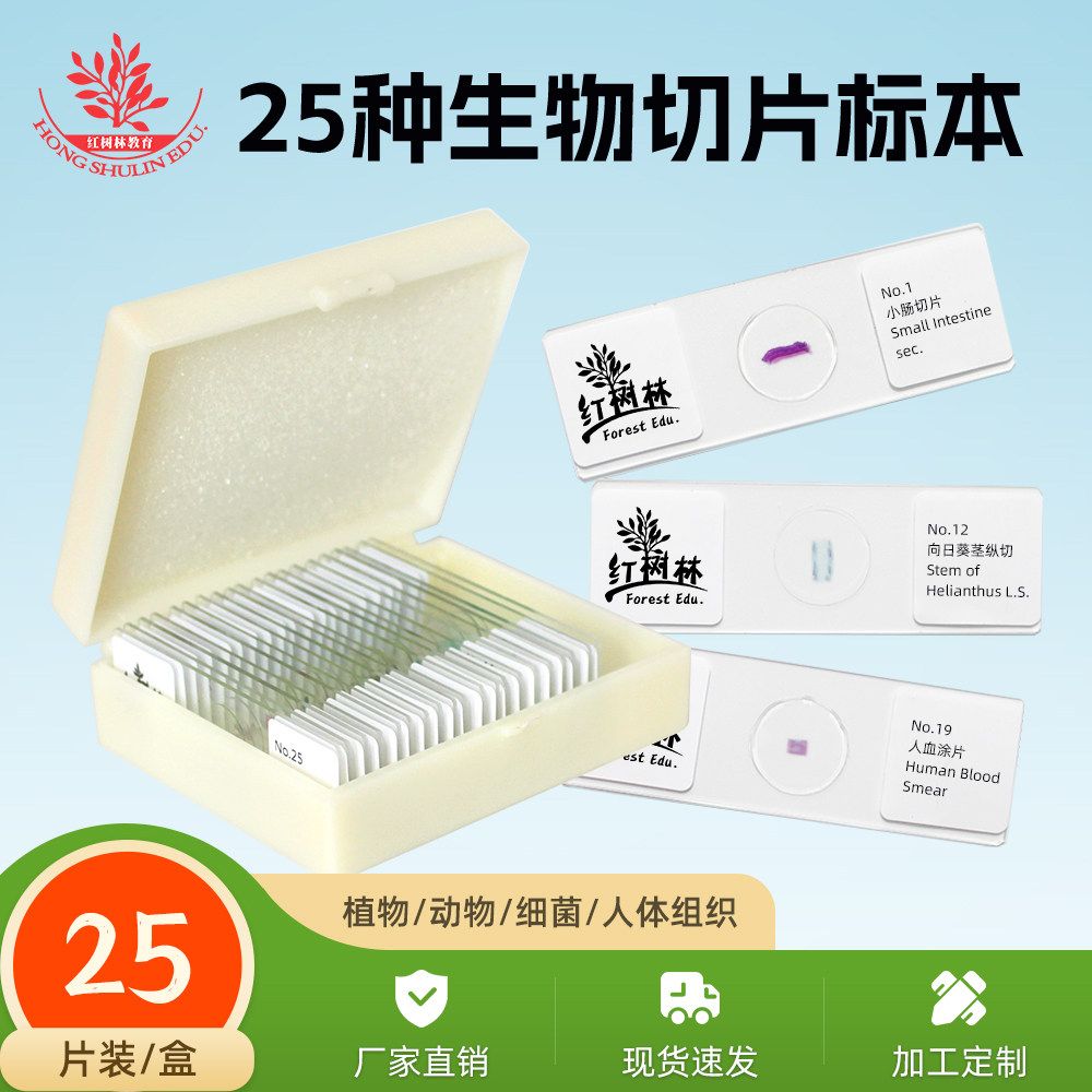 25片生物显微镜标本切片含动植物组织学学生玻璃玻片显微镜配件