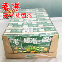 Hong Kong imported Hong Kong version of Sunshine citrus tea drink 250ml * 24 boxed sunshine drink