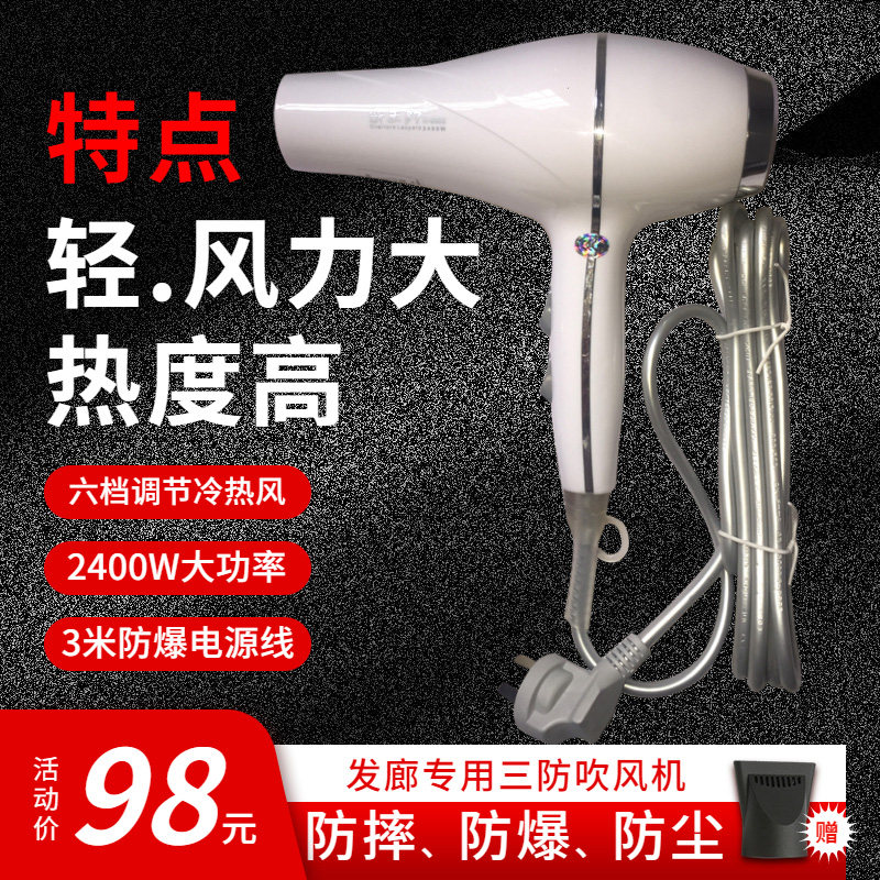 Bully Leopard 8898 Hair Salon Special Hair Dryer Wind Power Big 2400 Watt Heat High 3 m Power Cord Fast Dry Hair