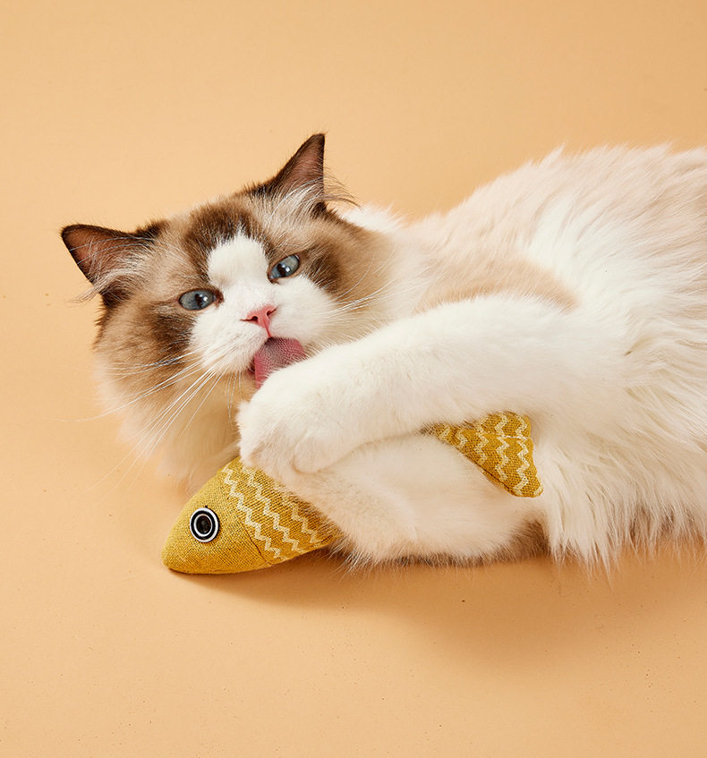 猫玩具自嗨猫转盘球小猫解闷逗猫神器游乐盘套装宠物用品猫咪玩具插图6