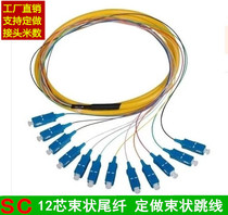  sc 12-core beam pigtail SC-SC12-core beam jumper custom LC ST FC SC connector custom
