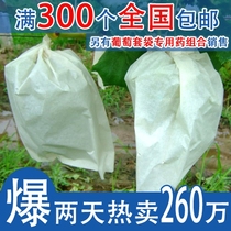 Special paper bag for grape bagging grape bag anti-bird Yukon bag