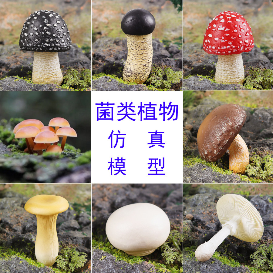 Hard plastic wild fungus simulation model pine mushroom poison rope umbrella apricot abalone mushroom decoration scene small ornaments photography props