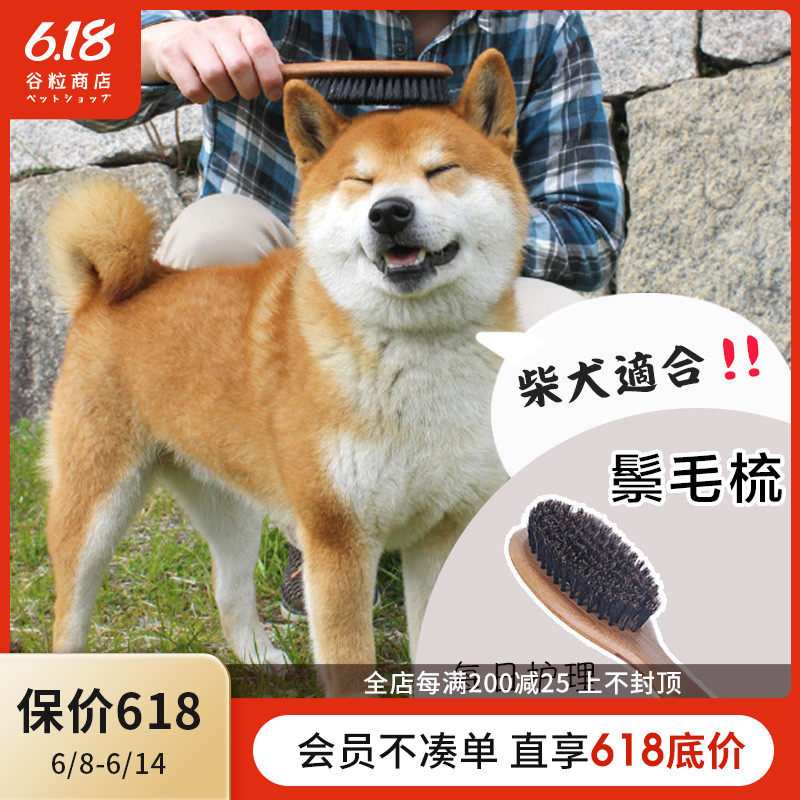 Chai dog with pig mane bright hair comb Breathable Massage Fluffy Dog Hair Antistatic for Floating Fur Pet Comb