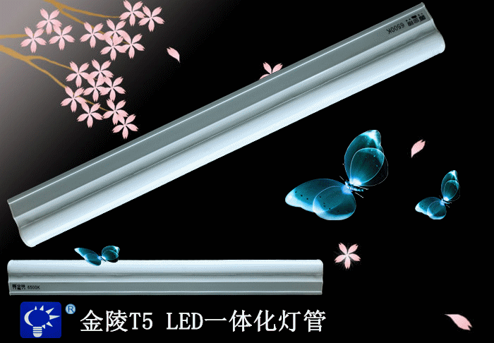 Jinling T5LED integrated lamp 0 3m 0 6m 0 9m 1 00m 1 02 m 4W8W12W16W