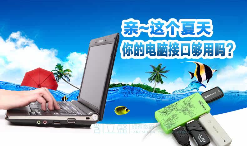 Concentrateur USB - Ref 364807 Image 6