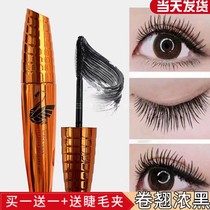 Butterfly Meina Black Swan mascara waterproof fiber long roll teething without fainting perspiration and anti-perspiration and intense black lasting no glue makeup