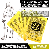 German chili paste Singapore analgesic plaster paste cloth sourdough paste muscle soreness joint knee strain pain