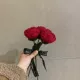 E15-Wine Red Rose Single Branch Products