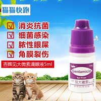 Đài Loan Xinghui thấy thuốc nhỏ mắt siêu nhỏ 5ml thú cưng viêm kết mạc mắt đỏ mủ mắt âm hộ mèo mũi mũi nhỏ giọt - Thuốc nhỏ mắt nước mắt nhân tạo systane ultra