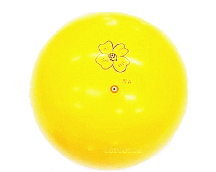 Ballon de volley - Ref 2009619 Image 4