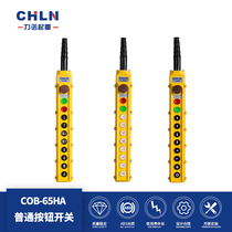 Lino lifting COB-65HA rain-proof button switch 11-bit driving annual inspection special button high-end button