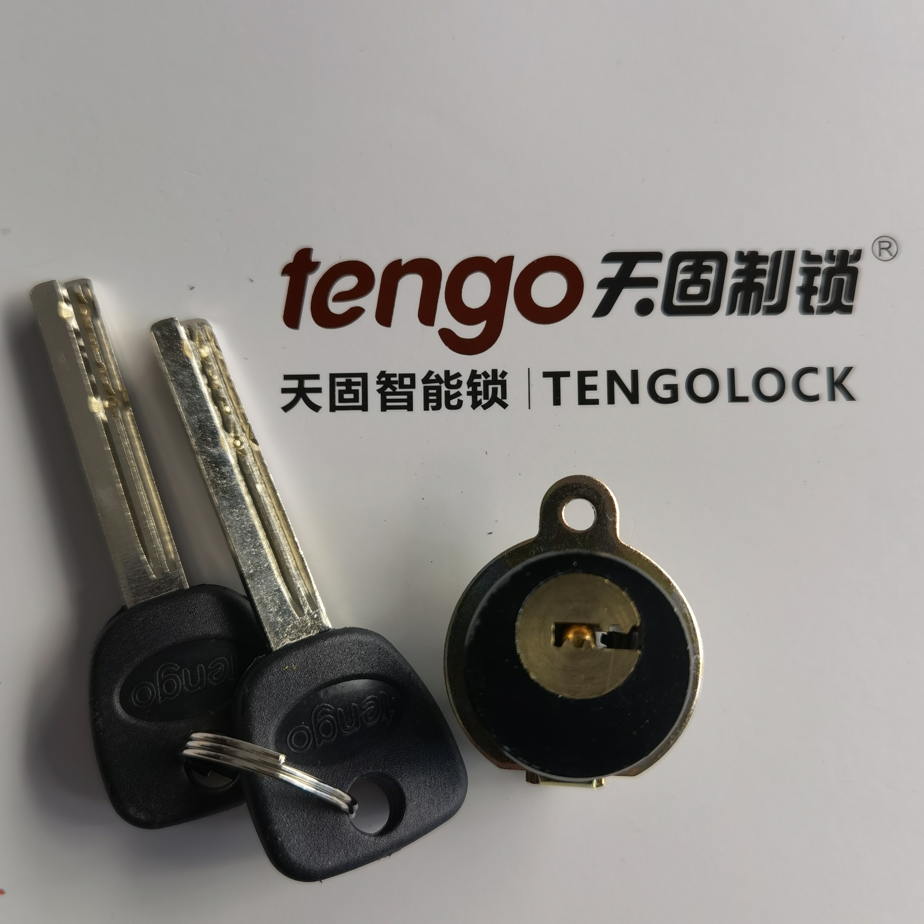 TENGO Tiangu Hotel Smart Tiangu door lock IC card apartment lock Tiangu Fuyuan factory original lock head