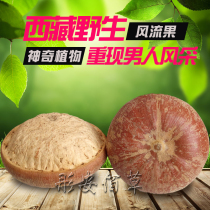 Merry fruit glans wild male bubble wine material 500g Yiqiang kidney fruit Merry fruit Chinese medicine