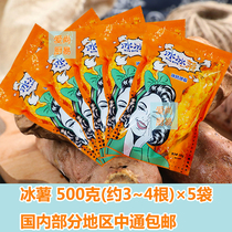 Ice-icing potato icing ground melon 500g x 5 sacks of net red ice grilled honey potatoes ready-to-use sweet potato fries 25 Number of places