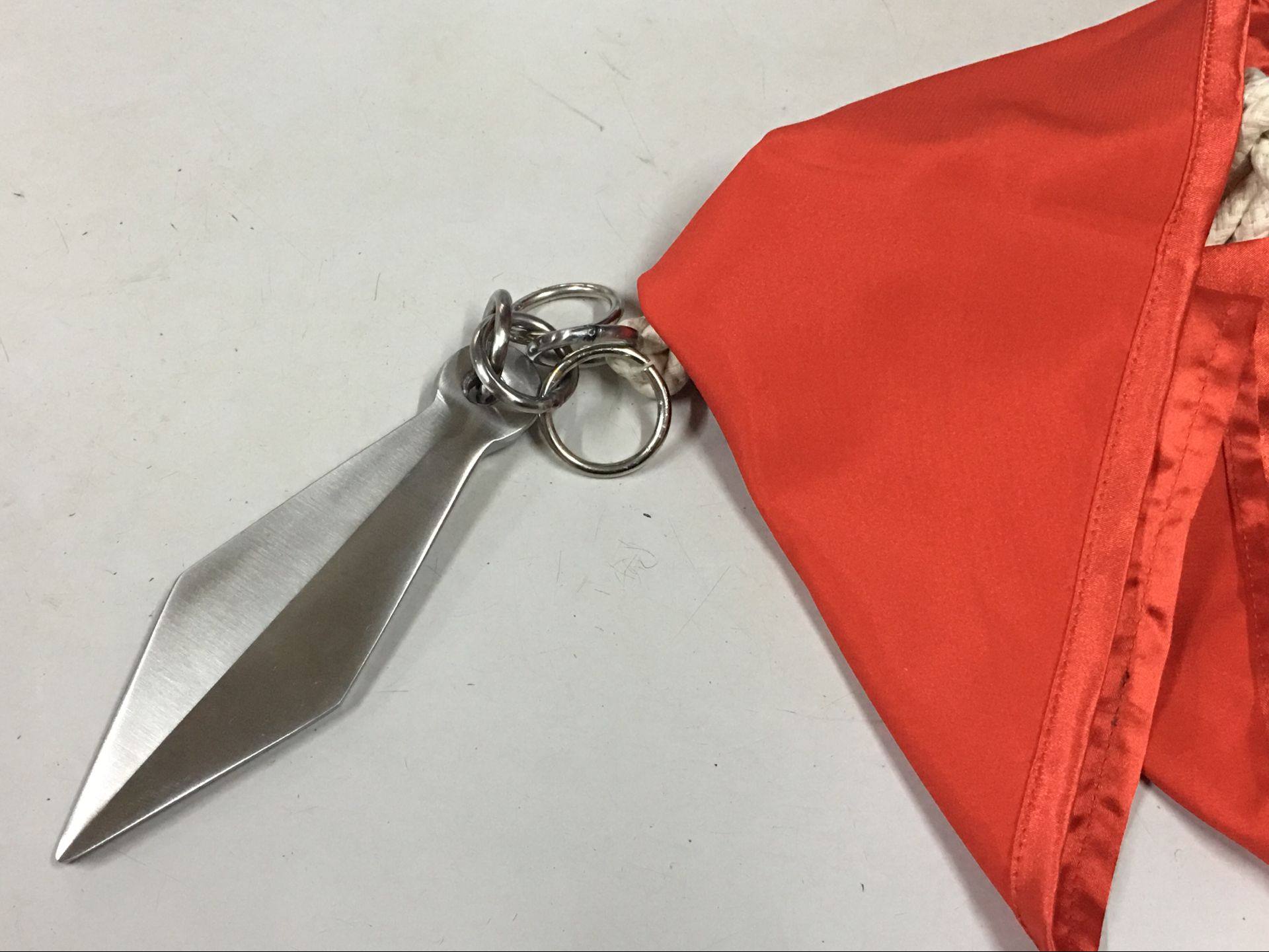 Stainless steel wicker Rope Dart New Rope Dart Rope Whip Less Forest Rope Mark Performance Whip (send 4 m dart rope)