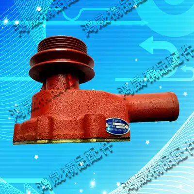 Tractor water pump 4L100BT Laiyang diesel engine 4TE50 4TD60 cycle pump cooling water pump