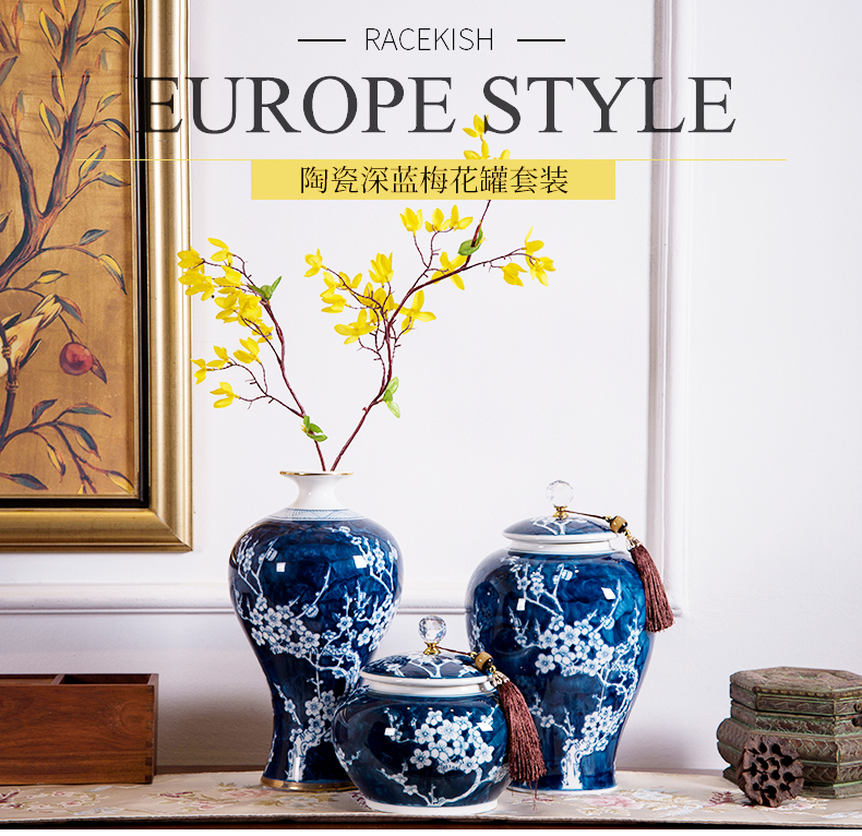 Ceramic hand - made storage tank furnishing articles of new Chinese style example room sitting room porch decoration name plum flower pot general furnishing articles