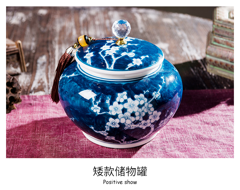 Ceramic hand - made storage tank furnishing articles of new Chinese style example room sitting room porch decoration name plum flower pot general furnishing articles