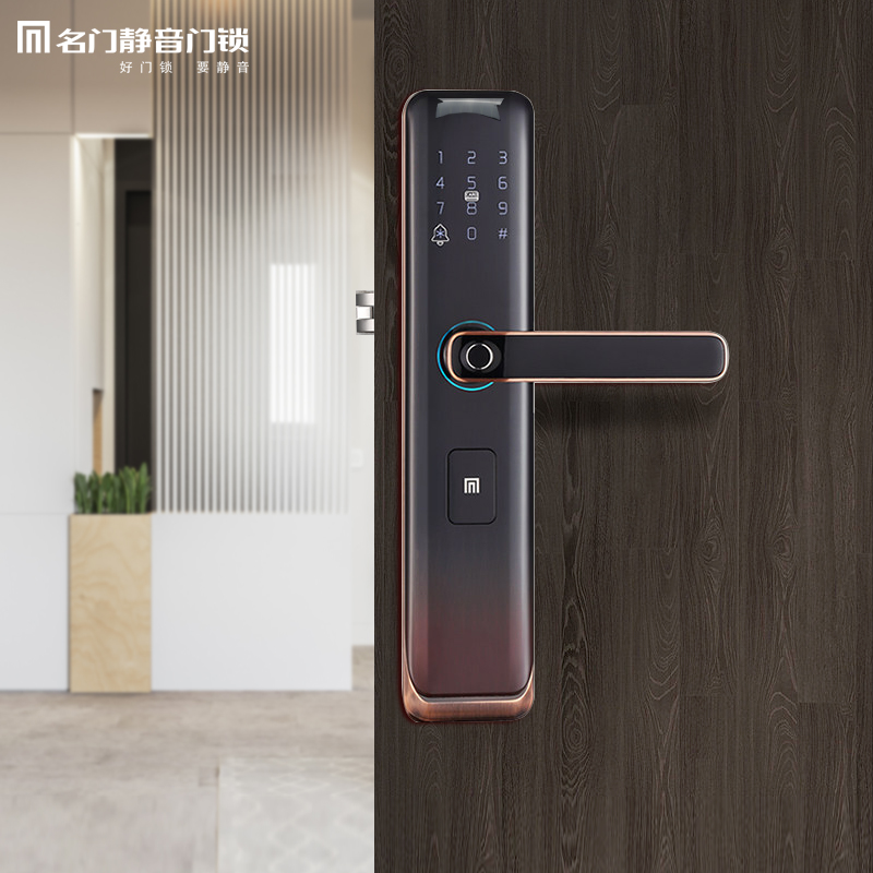 Famous door mute smart lock electronic door lock home anti-theft door wooden door fingerprint lock hotel magnetic card code lock M4