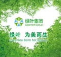 绿叶网上折扣店