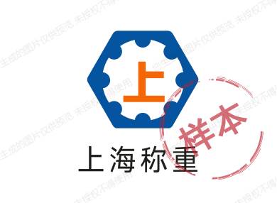 上海称重系统