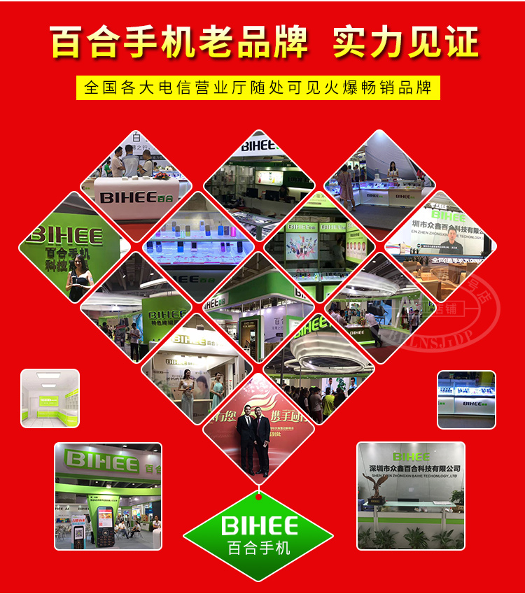 Lily BIHEE C20A phiên bản đầy đủ Netcom Telecom Tianyi 4G điện thoại di động cho người già già lâu thẻ dual standby - Điện thoại di động dien thoai di dong