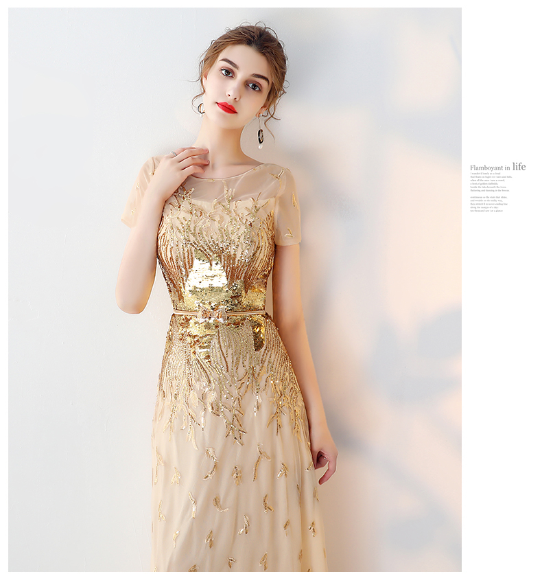 Robe du soir TSLYZM - Ref 3213602 Image 14