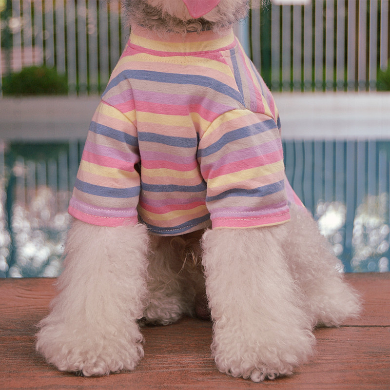 Pet autumn and winter tide brand cotton rainbow T-shirt Teddy Bichon Schnauzer dog cat rainbow bottoming shirt vibrato