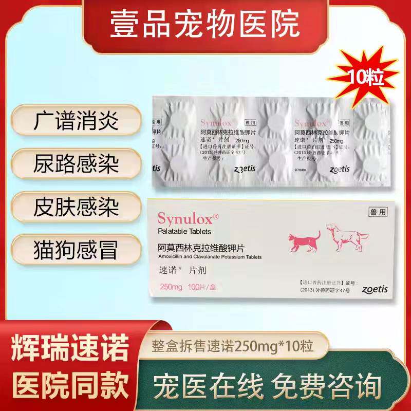 Pfizer Stenotitis Media 250mg teddy gold wool cold racking drug pet coughing cat pooch urinary tract infection