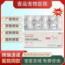 Pfizer Stenotitis Media 250mg teddy gold wool cold racking drug pet coughing cat pooch urinary tract infection