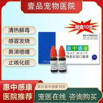 Beauty Bay Feeling Concorny Cat Sneeze Runny Nose Cough Dogs With Fever And Wheezing Dogs Cough pets Feds