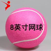 Mới 8 inch bóng tennis chữ ký 20 cm lớn bơm hơi hồng quần lưu niệm quảng cáo lưu niệm giá bóng tennis wilson