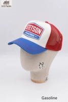 Бензиновый двигатель