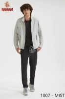 Туман серый MIST