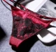 2004 Jujube